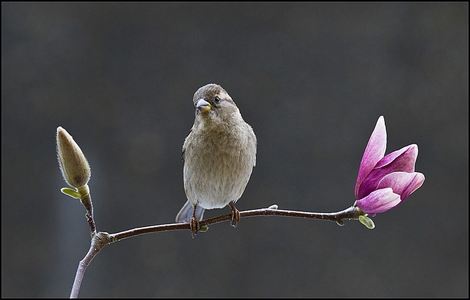 3秒后野兽坐在联谊会角落樱花动漫