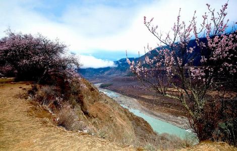 40岁女人控制不住情绪