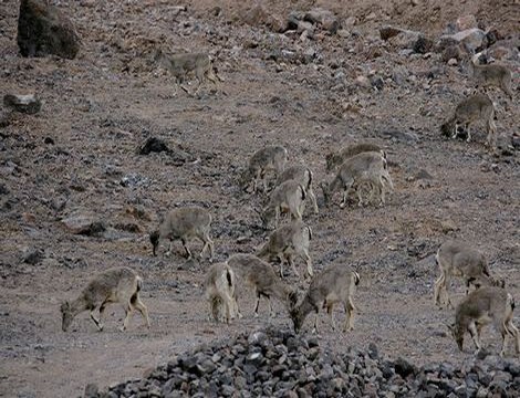 《年轻漂亮的继4》韩剧