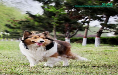 七天暴瘦十斤100%成功