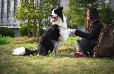 单独带儿子旅游住宾馆