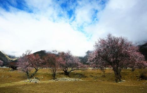 吻戏剧原声