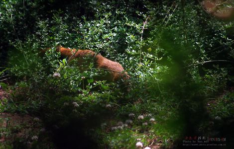 哈利波特6完整版免费