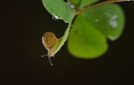 暴风雨公司加班筱田悠在线